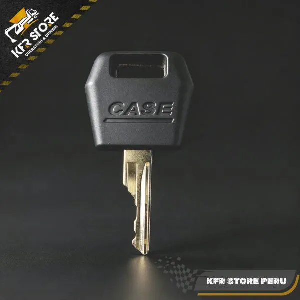 LLAVE DE CONTACTO CASE IH D250. - Imagen 2